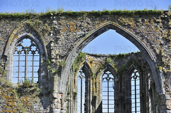 Ruins of the Aulne Abbey