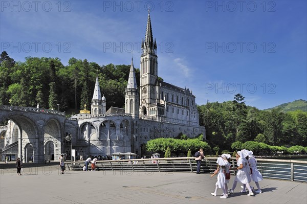 The Basilica of our Lady of the Rosary