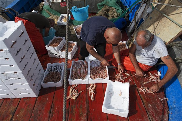 Freshly caught shellfish sold directly from the fishing boat