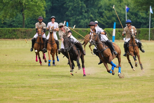 Horse polo on the Hugerlandshofweg in Muenster-Handorf