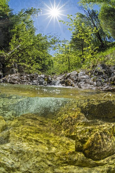 Underwater photo in a mountain stream in the Kalkalpen National Park