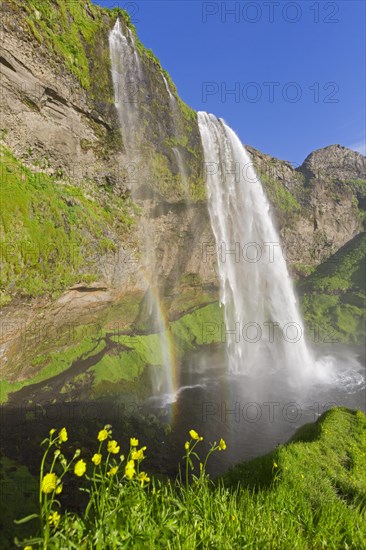 Seljalandsfoss waterfall