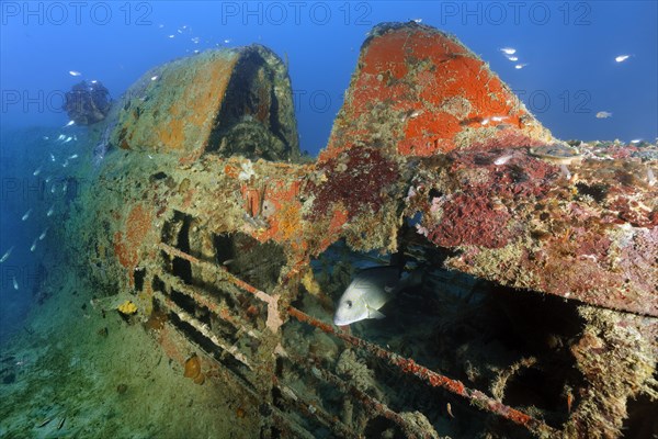 Cockpit Nakajima Ki-43 Hayabusa