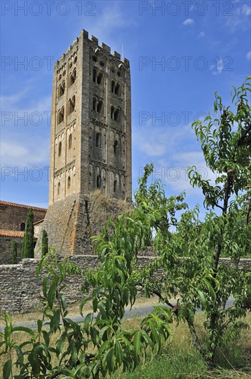 Almond tree in orchard and the Saint-Michel-de-Cuxa abbey