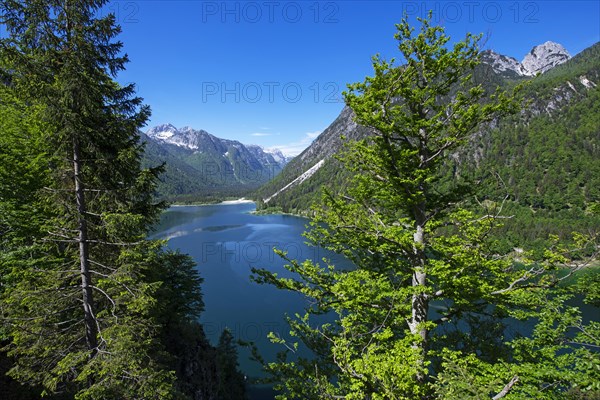 Lago del Predil