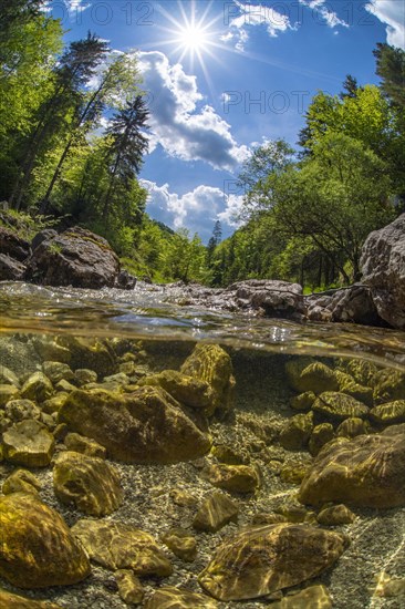 Underwater photo in a mountain stream in the Kalkalpen National Park