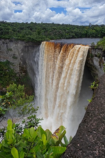 Kaieteur Falls on the Potaro River in the Kaieteur National Park
