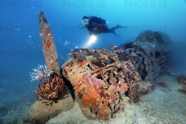 Diver explores Japanese Nakajima Ki-43 Hayabusa