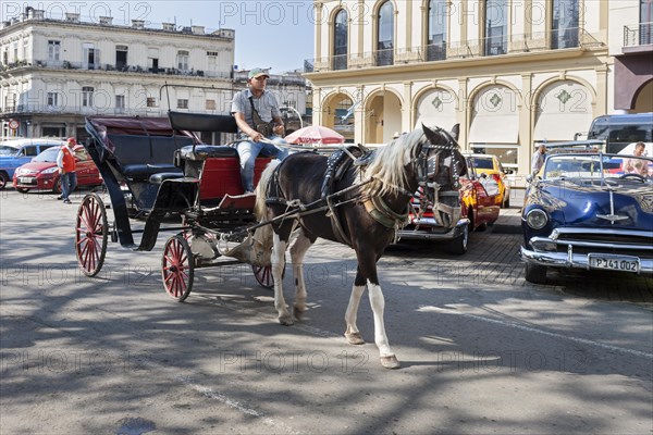 Horse-drawn carriage