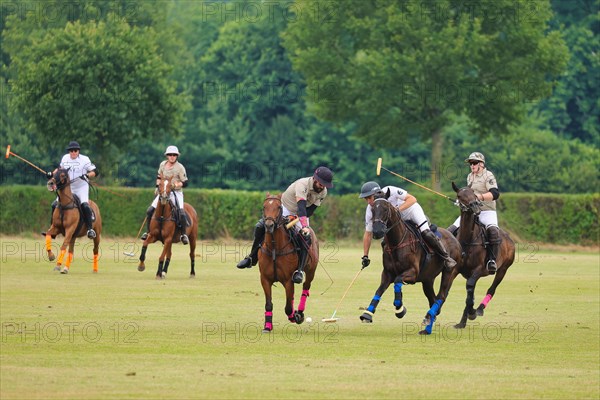 Horse polo on the Hugerlandshofweg in Muenster-Handorf