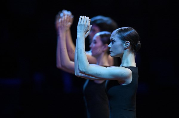 The Stuttgart Ballet dances in the supporting programme as part of the final of the Porsche Tennis Grand Prix in the Porsche Arena