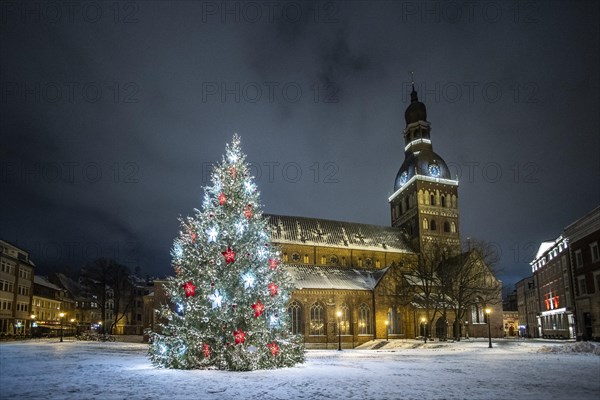 View of Riga Cathedral in winter in Riga