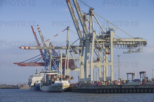 Container Terminal Tollerort