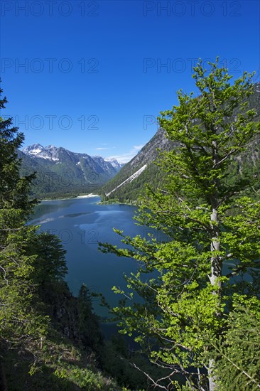 Lago del Predil