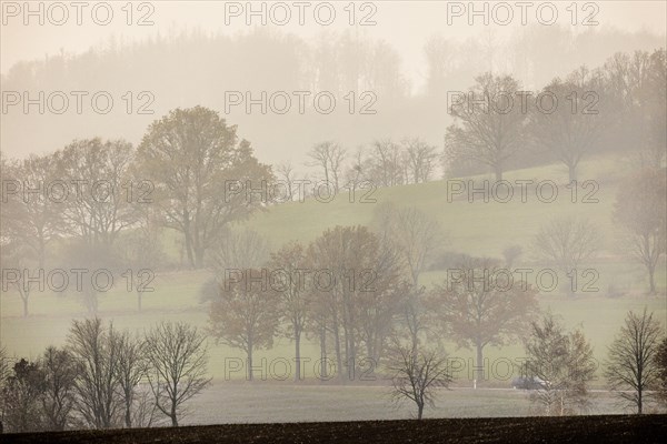 Landscape in Koenigshain