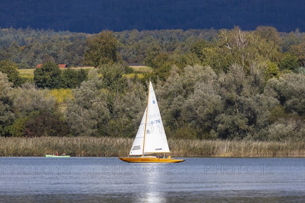 Autumn on Lake Constance