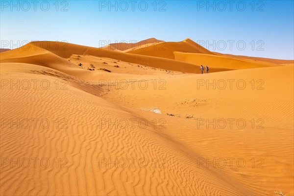 Red Sand Dunes