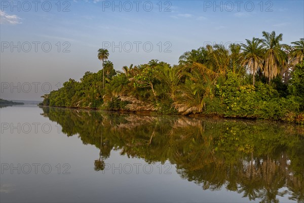 Morning light at the River Gambia National Park