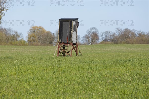 High seat in a field