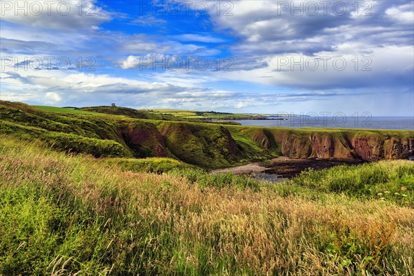 Coastline near Stonehaven