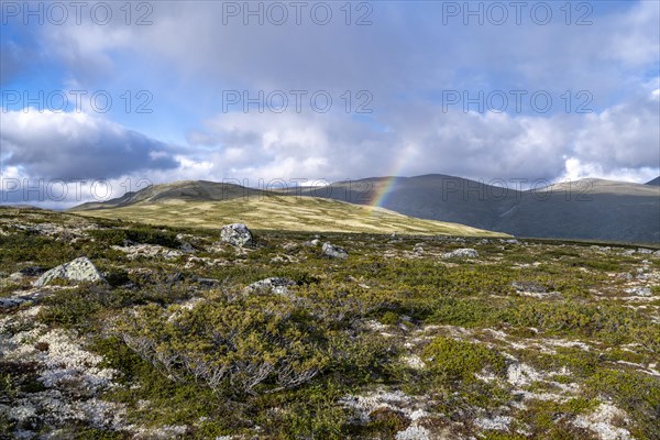 Landscape in the Fjell with rainbow