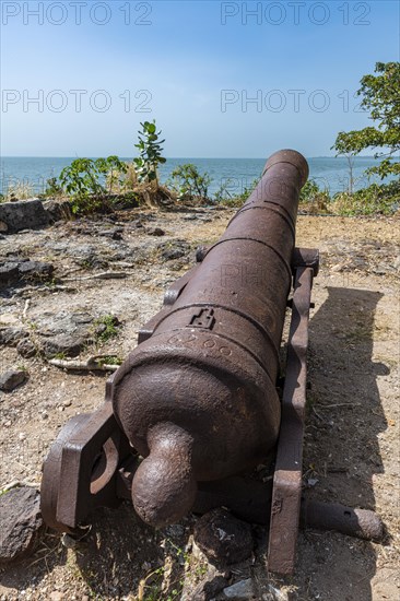 Old cannons