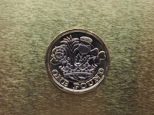 1 pound coin money