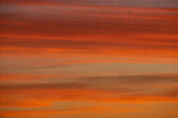Evening reddish orange cloud structures against blue sky
