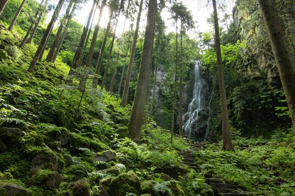 Landscape shot of the Burgbach waterfall