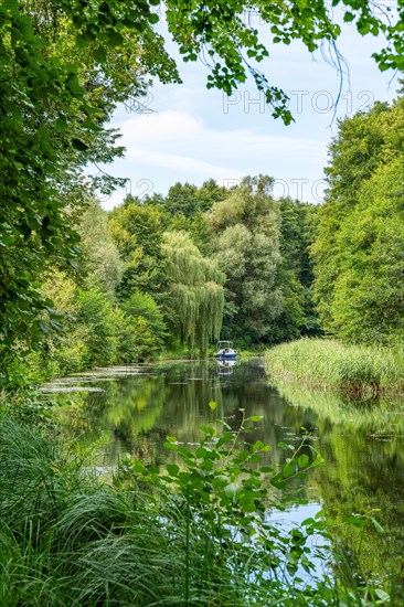 Green landscape at the Templin Canal