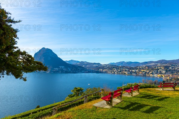 Bench and Branch and Lake Lugano and City with Mountain and Blue Sky in Park San Michele in Castagnola in Lugano