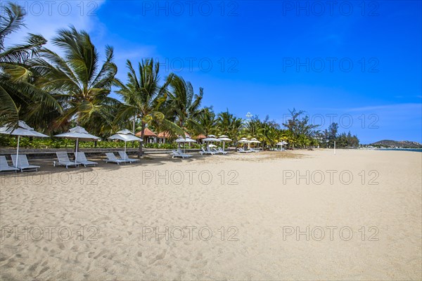 Beach with Umbrellas and sunbeds