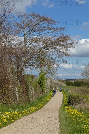 Hiking trail