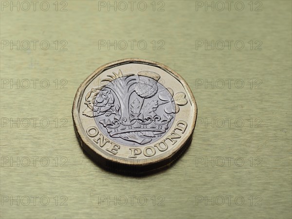 1 pound coin money