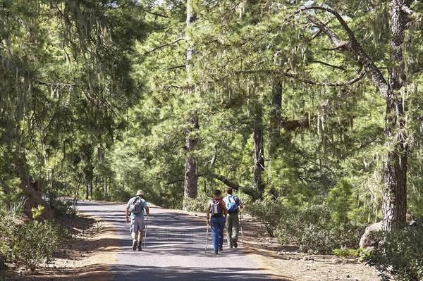 Three hikers