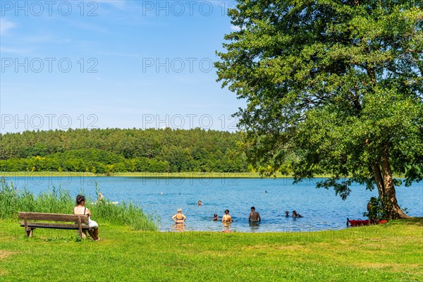 Bathing area with meadow at Zenssee