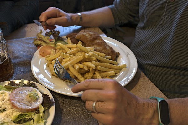 Wiener Schnitzel with french fries