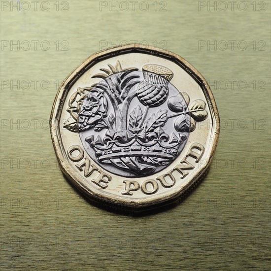 1 pound coin money