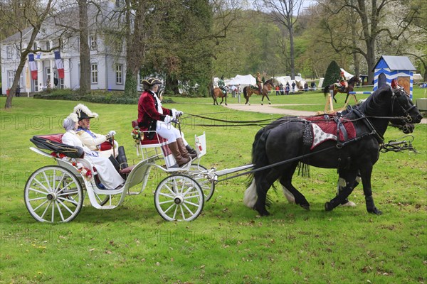 Horse-drawn carriage