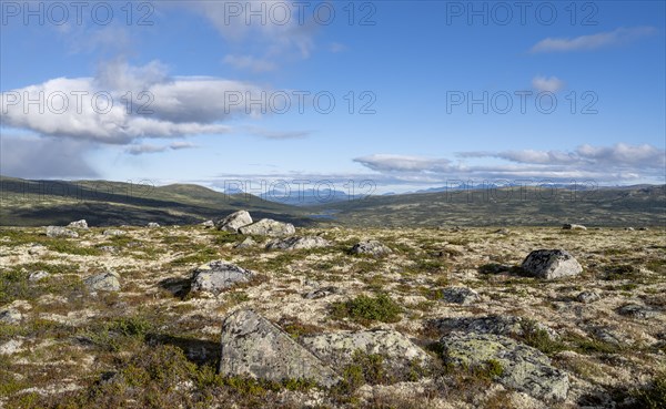 Landscape in the Fjell