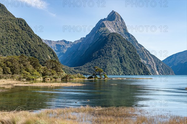 Fjordland National Park