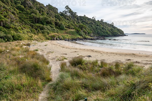 Stewart Island