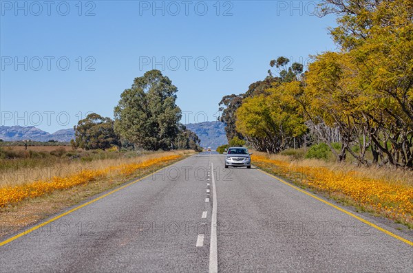 R364 between Lamberts Bay and Clanwilliam