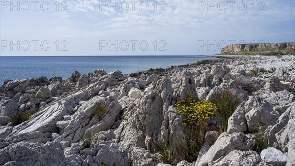 Rocks on the coast