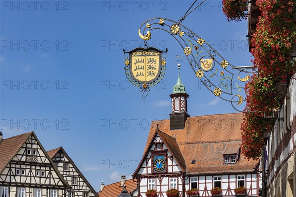 Town view with half-timbered houses