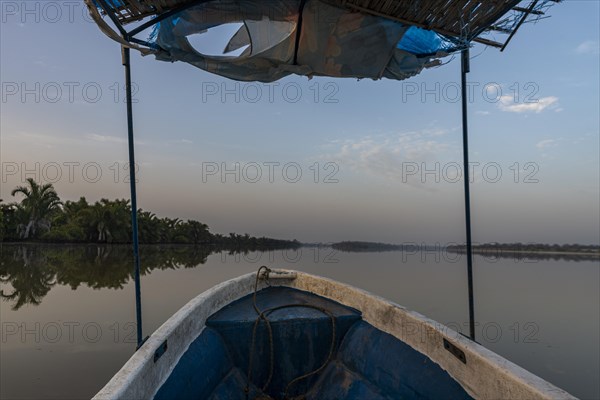 Morning light at the River Gambia National Park