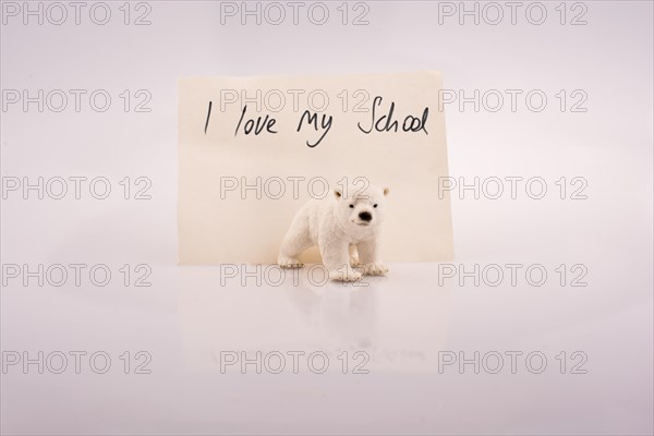Polar bear model and love of school on a white background