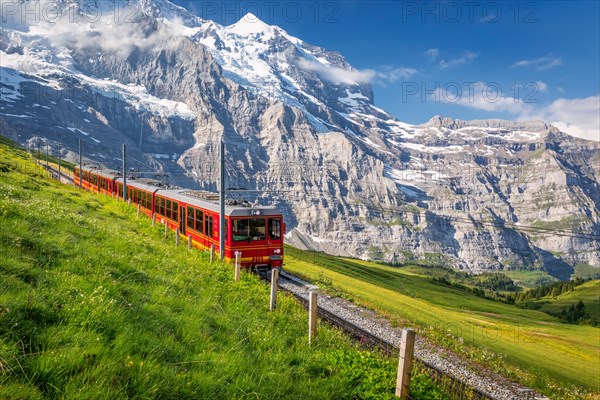 Train from the Jungfrau railway near Kleine Scheidegg