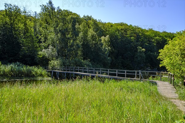 Hiking trail and narrow wooden bridge over the Polseso in the forest area of Almindingen on the island of Bornholm