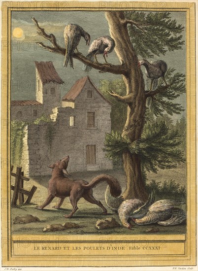 The Fox and the Chickens from India Taking Shelter in a Tree